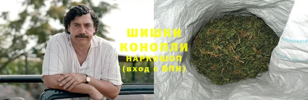 прущие грибы Белокуриха