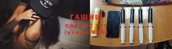 индика Балахна