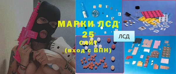 индика Балахна