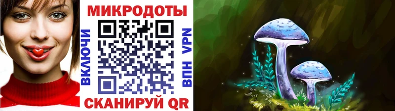 Галлюциногенные грибы GOLDEN TEACHER  OMG ссылки  Рудня 
